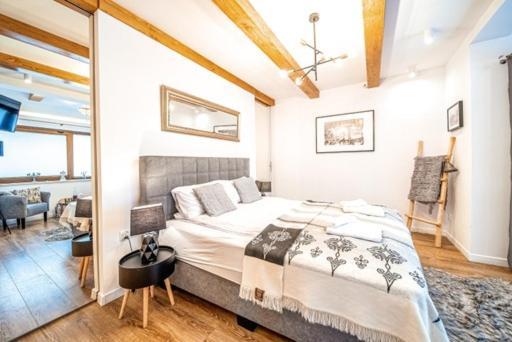 Apartament Kamieniec Zakopane Eksteriør billede